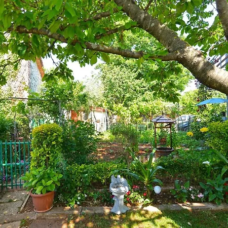 Für 4 Personen Ca 50 Qm In Poreč, Istrien Istrische Riviera Apartment Poreč